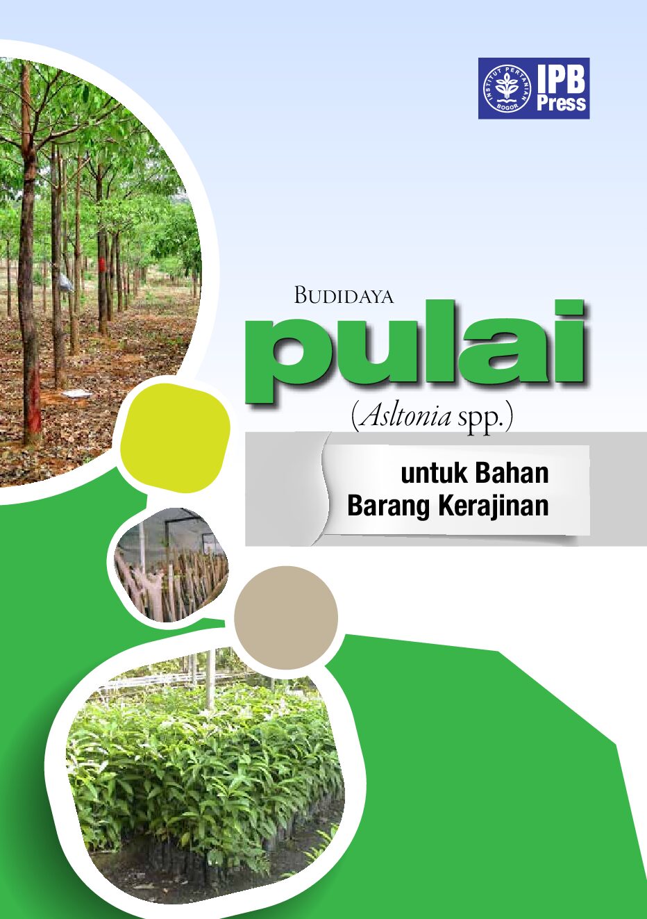 Cover Budidaya Pulai (Alstonia Spp.) Untuk Bahan Kerajinan Mashudi 2014